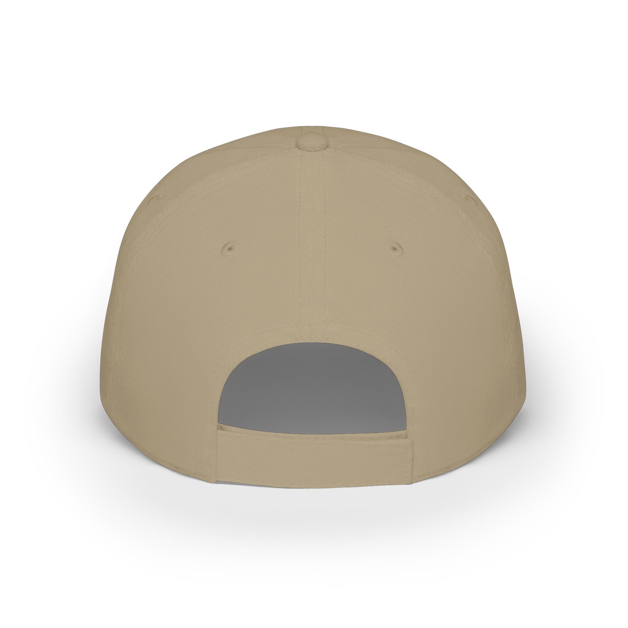 D.N.R. “Dirt Nap Ready” Low Profile Embroidered Baseball Cap