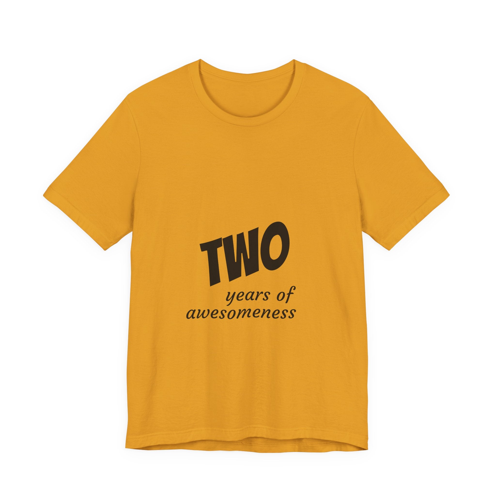 Toddler 2nd Birthday T-Shirt - "Two Years of Awesomeness" Celebration Tee