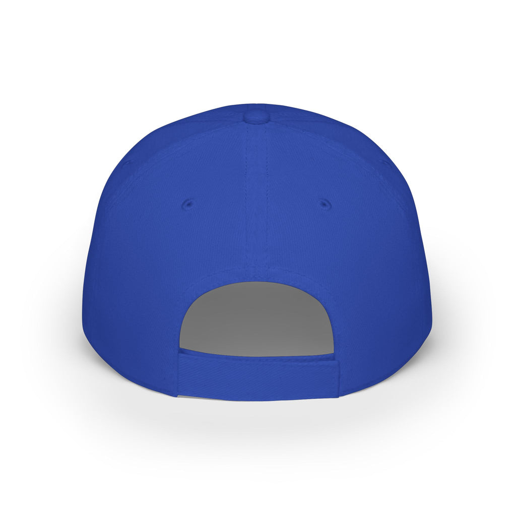 D.N.R. “Dirt Nap Ready” Low Profile Embroidered Baseball Cap
