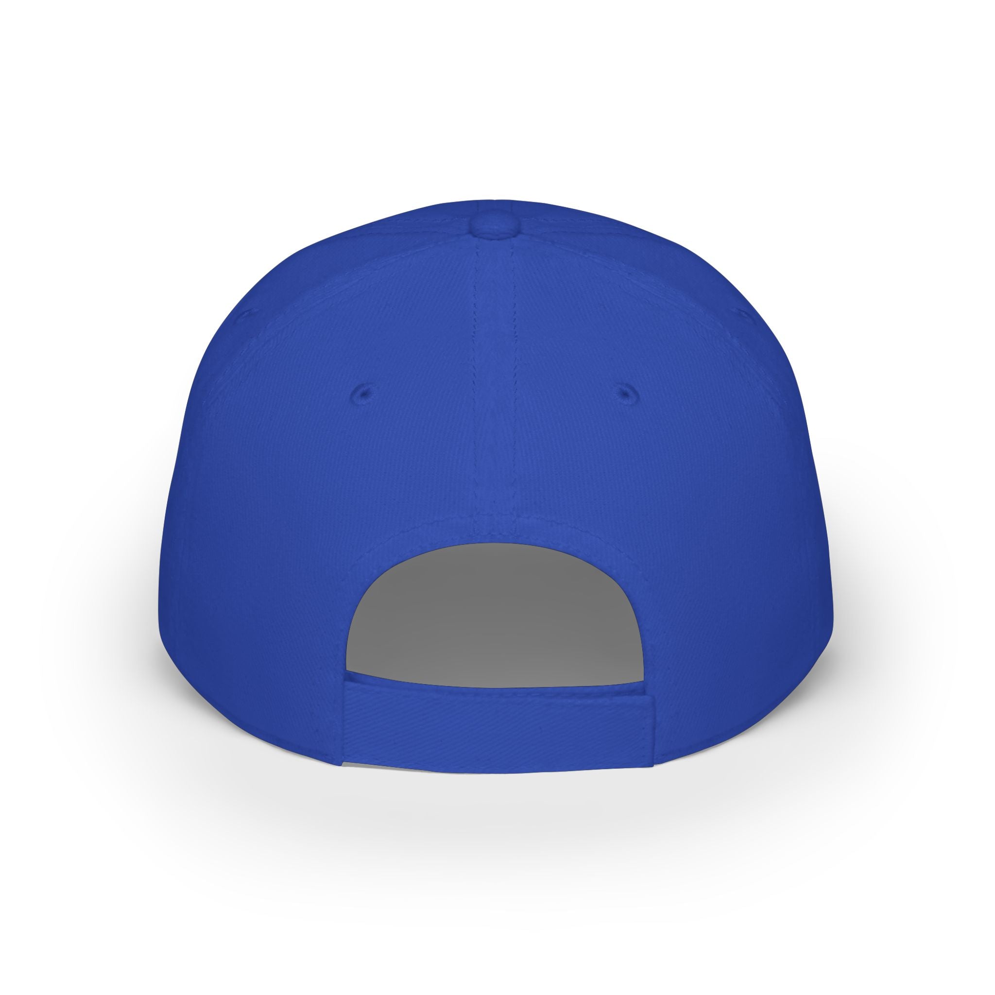 D.N.R. “Dirt Nap Ready” Low Profile Embroidered Baseball Cap
