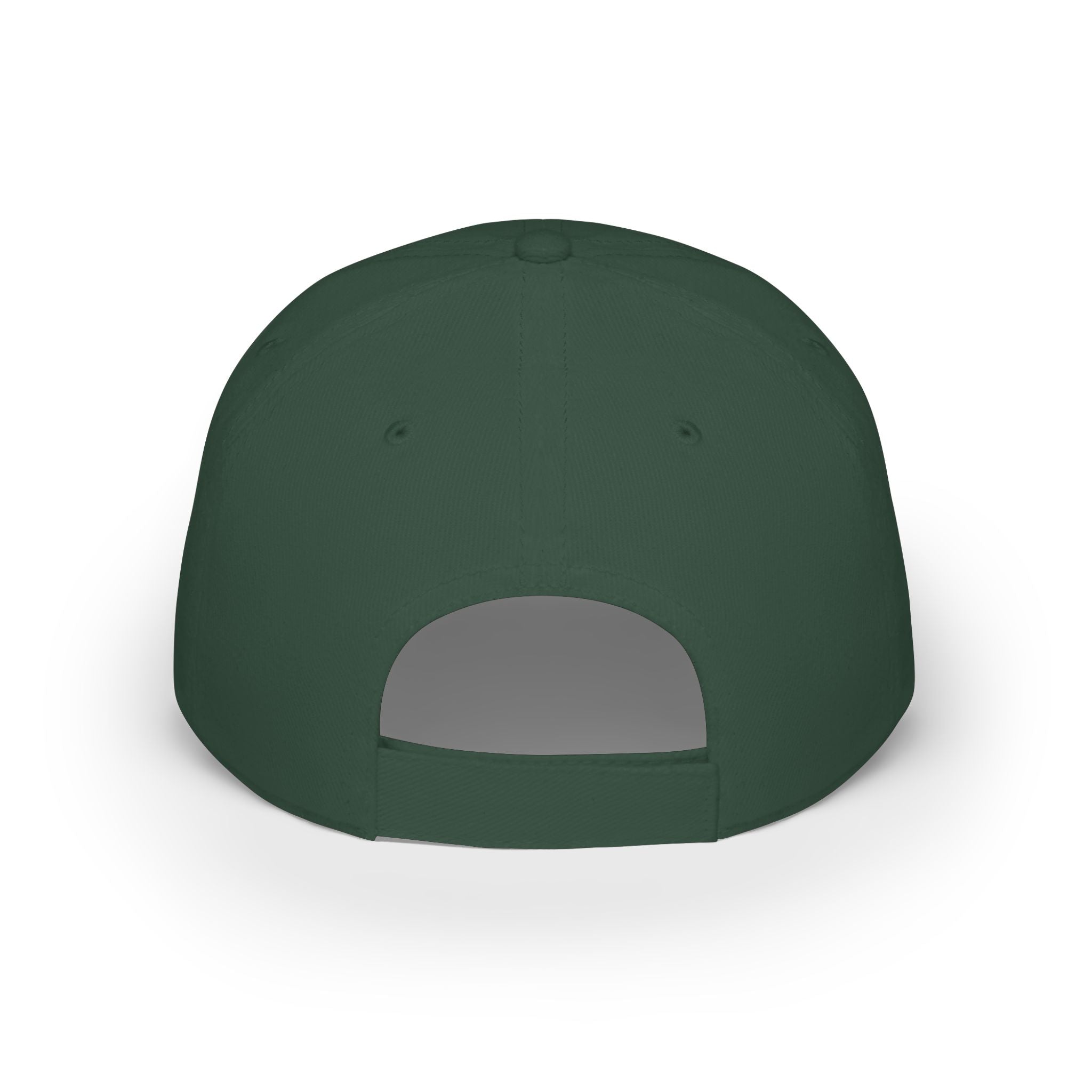 D.N.R. “Dirt Nap Ready” Low Profile Embroidered Baseball Cap