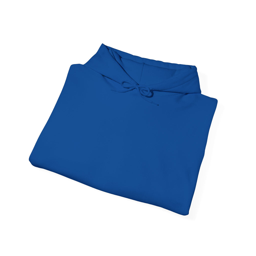 EMS Back the Blue Hoodie